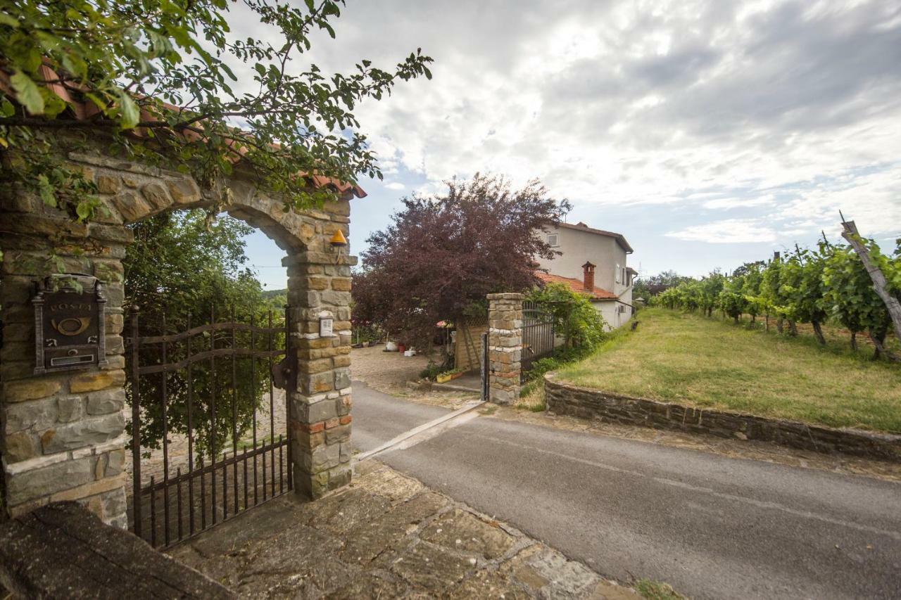Гостевой дом Cozy Istrian House Изола Экстерьер фото
